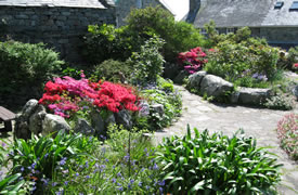 lluniau galeri Gwyliau Gorwel